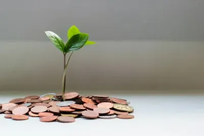 Financial Services